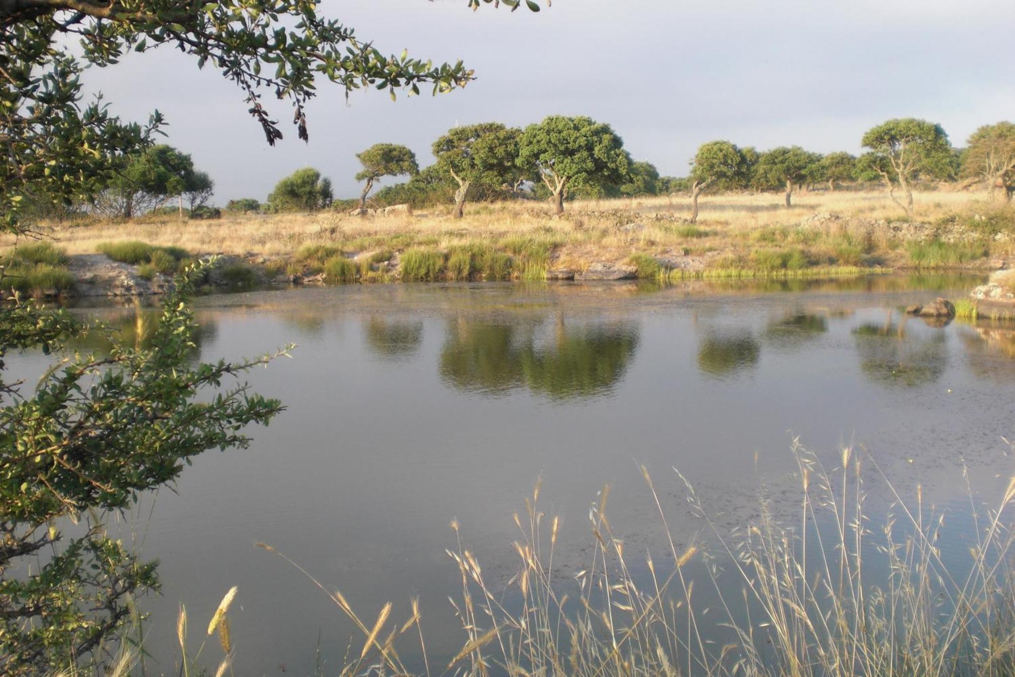 Agriturismo Pentuma Chiaramonti Екстер'єр фото