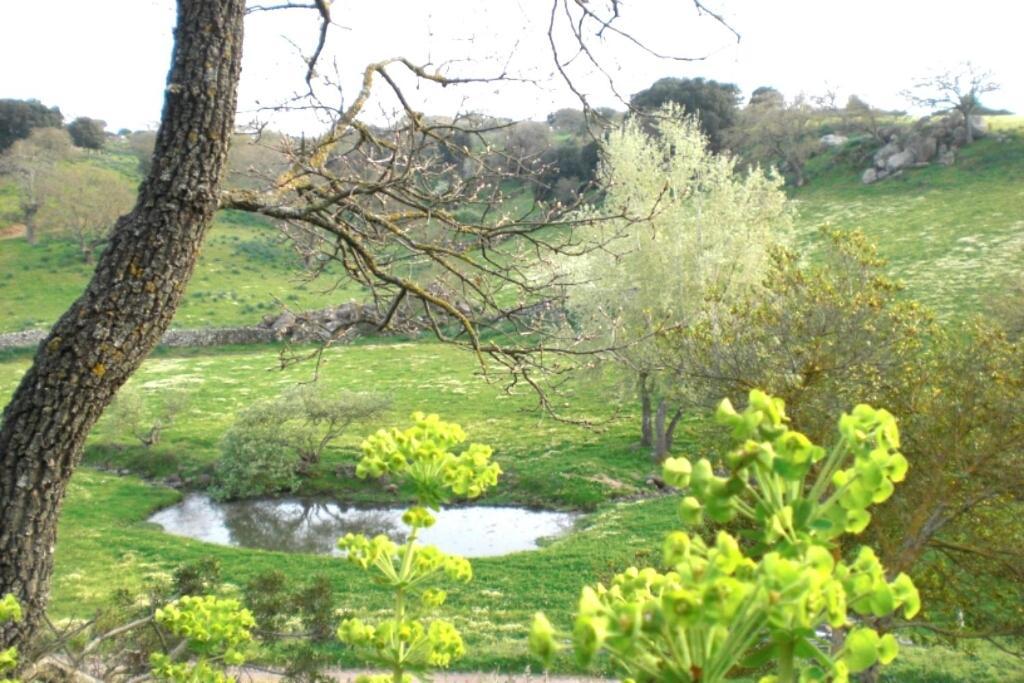 Agriturismo Pentuma Chiaramonti Екстер'єр фото