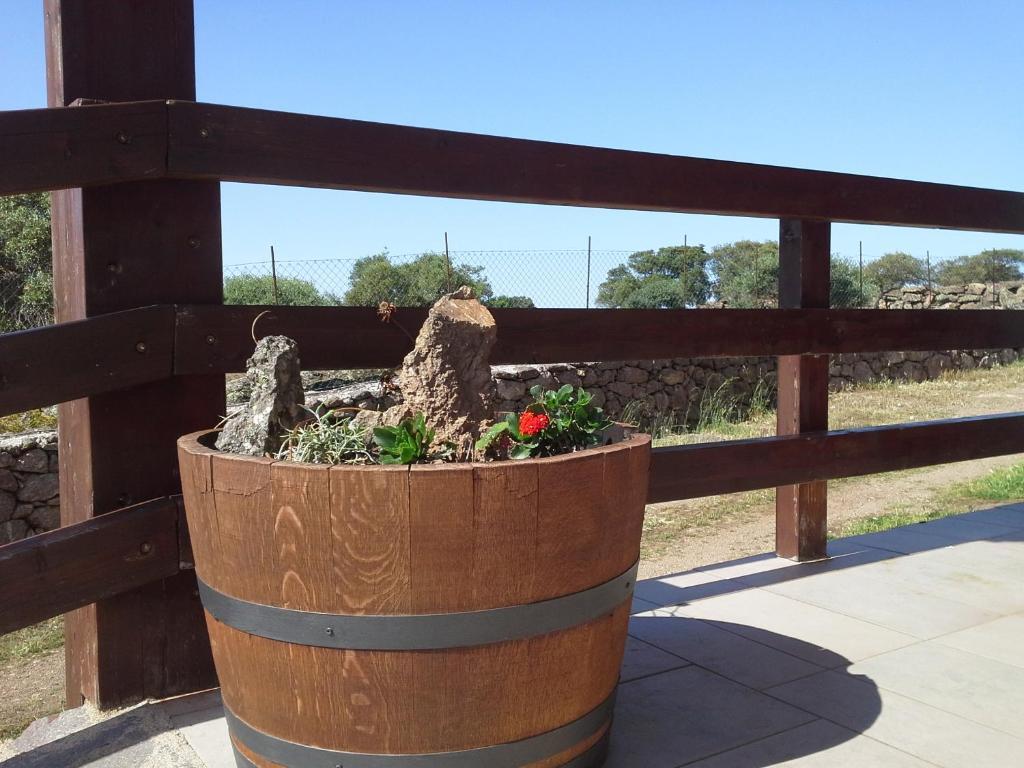 Agriturismo Pentuma Chiaramonti Екстер'єр фото